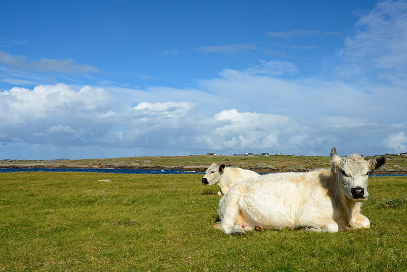 So lässt es sich leben